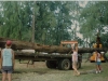 Koa Wood for Canoe pic 3.jpg